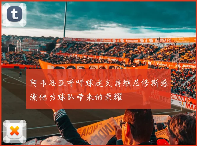 阿韦洛亚呼吁球迷支持维尼修斯感谢他为球队带来的荣耀