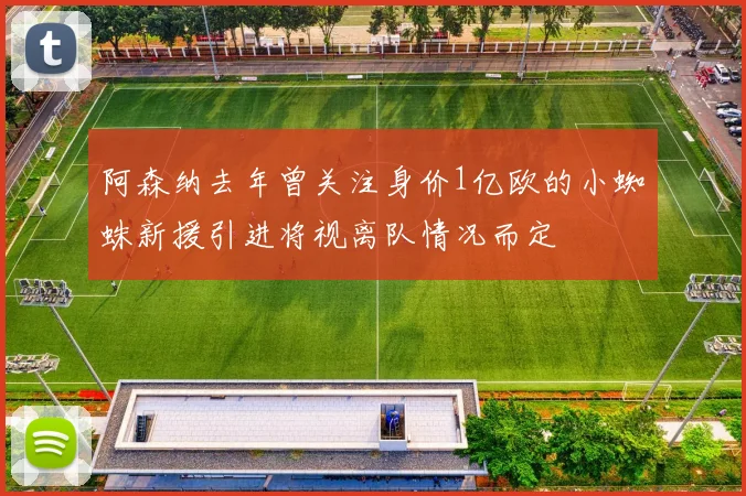阿森纳去年曾关注身价1亿欧的小蜘蛛新援引进将视离队情况而定